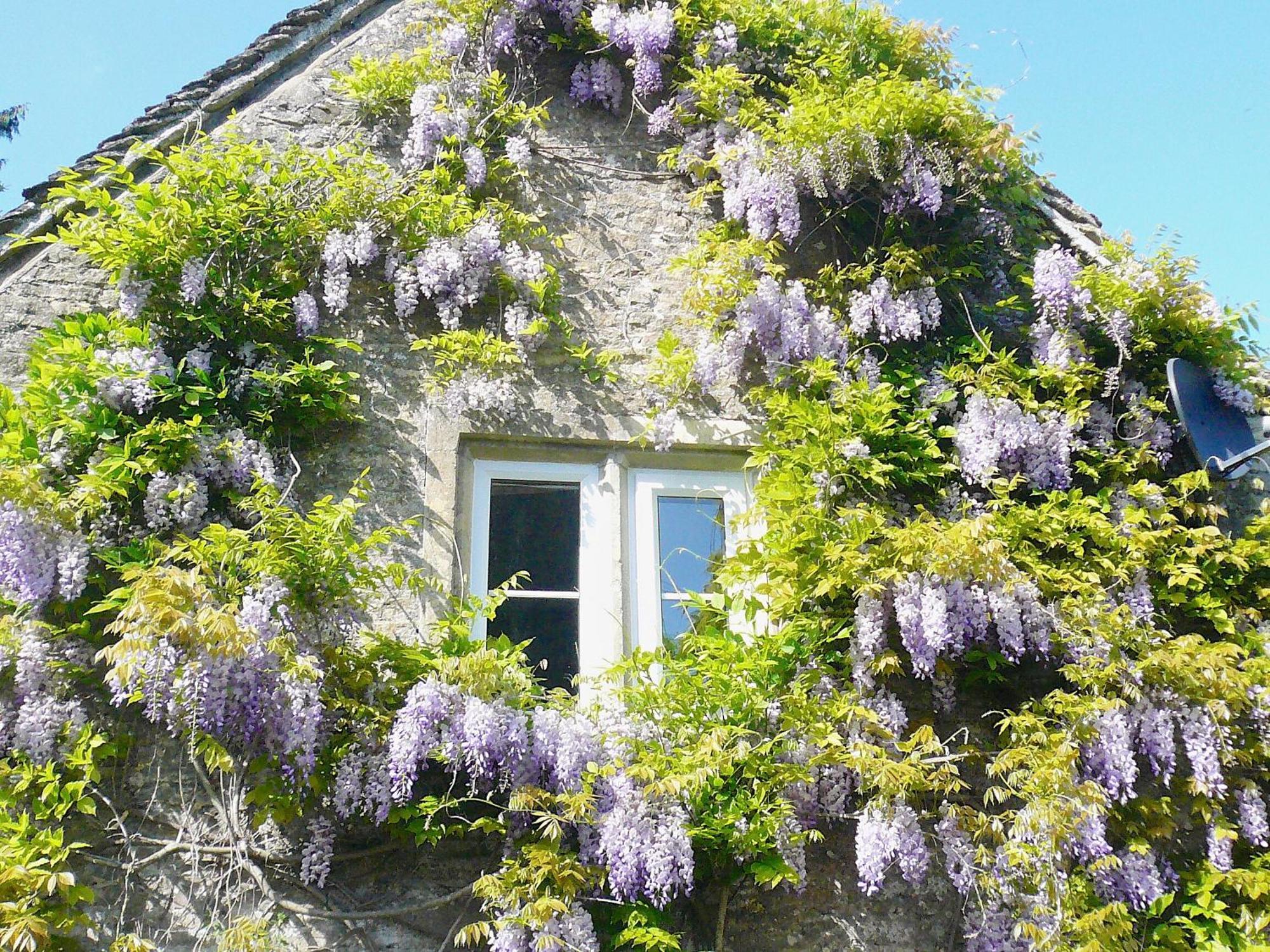 Ivy Cottage Chedworth Kültér fotó